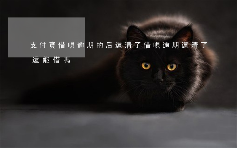 支付寶借唄逾期的后還清了(借唄逾期還清了還能借嗎)