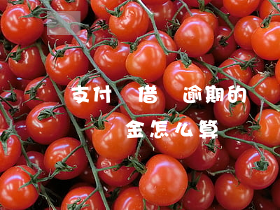 支付寶借唄逾期的違約-支付寶借唄逾期的違約金怎么算