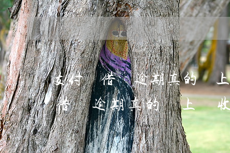 支付寶借唄逾期真的會上門收款嗎-支付寶借唄逾期真的會上門收款嗎安全嗎
