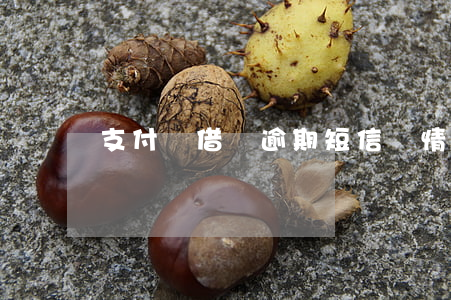 支付寶借唄逾期短信詳情(借唄逾期了電話是)