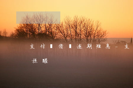 支付寶借唄逾期短息-支付寶借唄逾期短息提醒
