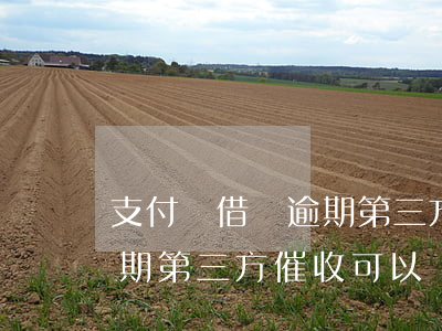 支付寶借唄逾期第三方催收-支付寶借唄逾期第三方催收可以減息怎么判斷真假