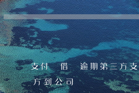 支付寶借唄逾期第三方(支付寶借唄逾期第三方到公司)
