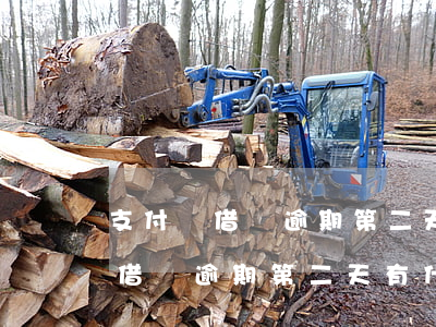 支付寶借唄逾期第二天有什么影響-支付寶借唄逾期第二天有什么影響嗎