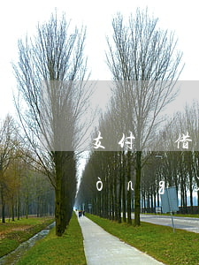 支付寶借唄逾期系統(tǒng)自動(dòng)-支付寶借唄逾期系統(tǒng)自動(dòng)扣款