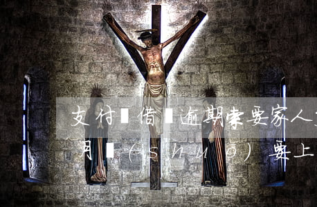 支付寶借唄逾期索要家人(支付寶借唄逾期倆月說(shuō)要上門)