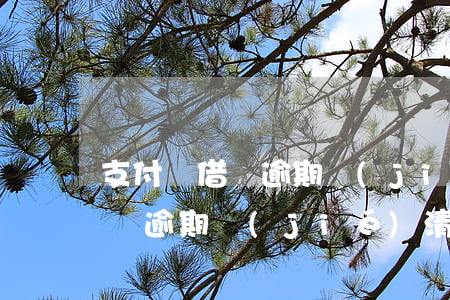 支付寶借唄 逾期結(jié)清-支付寶借唄逾期結(jié)清了可以申請消除征信嗎