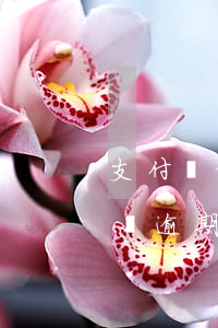支付寶借唄逾期結(jié)清-支付寶借唄逾期結(jié)清過后還需要什么手續(xù)么