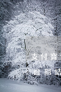 支付寶借唄逾期結(jié)清(支付寶借唄逾期結(jié)清后能正常使用嗎)