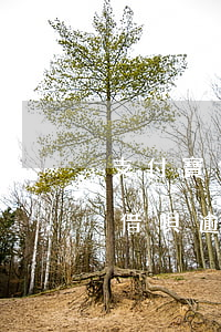 支付寶借唄逾期給家人朋友打電話-支付寶借唄逾期給家人朋友打電話怎么辦