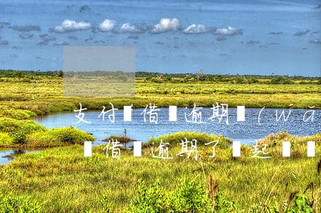 支付寶借唄逾期網(wǎng)絡仲裁(支付寶借唄逾期了會起訴嗎)