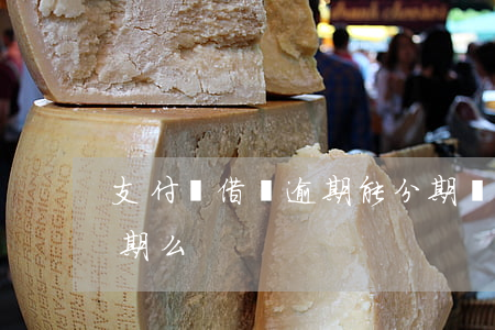 支付寶借唄逾期能分期嗎-借唄逾期可以分期么