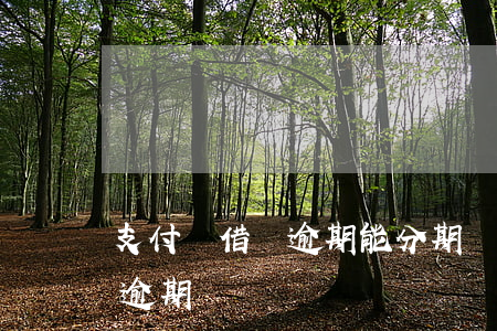 支付寶借唄逾期能分期嗎(借唄逾期在分期算逾期嗎)