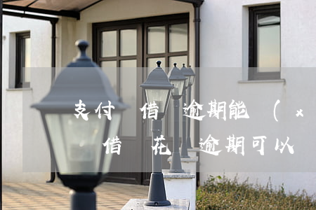 支付寶借唄逾期能協(xié)商減免(支付寶借唄花唄逾期可以協(xié)商減免嗎)