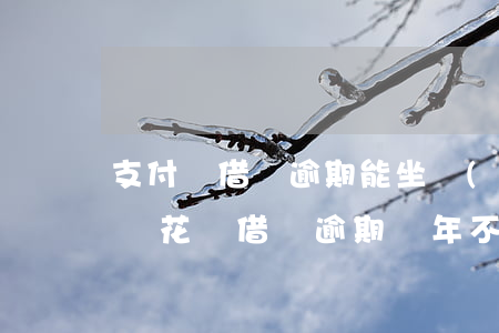 支付寶借唄逾期能坐動(dòng)車嗎(螞蟻花唄借唄逾期兩年不還還能坐火車嗎)