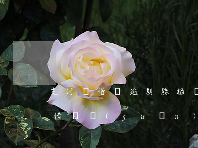 支付寶借唄逾期能撤銷(xiāo)嗎 逾期借唄關(guān)閉了