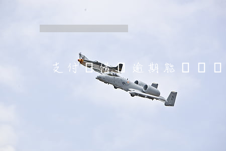 支付寶借唄逾期能辦車貸嗎