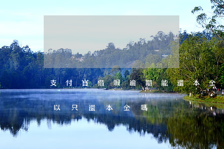 支付寶借唄逾期能還本金么(借唄逾期之后可以只還本金嗎)