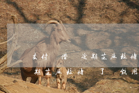 支付寶借唄逾期芝麻粒修復-支付寶借唄逾期芝麻粒修復了還能用嗎