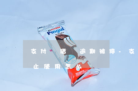 支付寶借唄逾期被停-支付寶借唄逾期被停止使用怎么辦