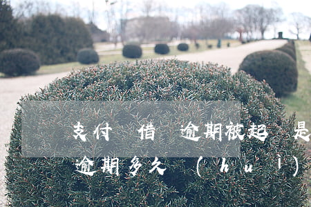 支付寶借唄逾期被起訴是真的嗎(支付寶借唄逾期多久會(huì)被起訴會(huì)有什么后果)