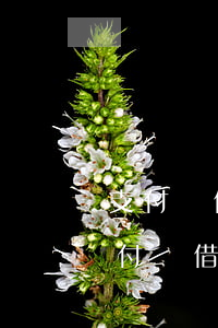 支付寶借唄逾期要全部結(jié)清-支付寶借唄逾期要全部結(jié)清嗎