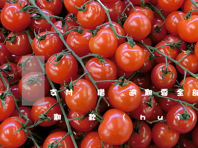 支付寶借唄逾期要全部還款嗎(支付寶借唄逾期還款會(huì)怎樣)