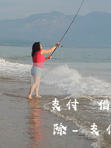 支付寶借唄逾期記錄找誰協(xié)商消除-支付寶借唄逾期記錄找誰協(xié)商消除呢