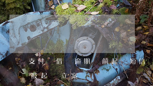 支付寶借唄逾期訴前起訴短信(螞蟻借唄逾期被起訴立案)