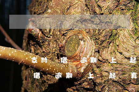 支付寶借唄逾期說上門起訴真的嗎-支付寶借唄逾期說上門起訴真的嗎可信嗎