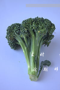 支付寶借唄逾期說移交法務(wù)部(借唄逾期移交法務(wù)部門)