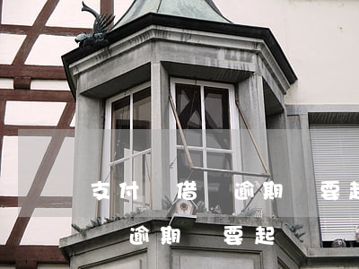 支付寶借唄逾期說要起訴該怎么辦（支付寶借唄逾期說要起訴）