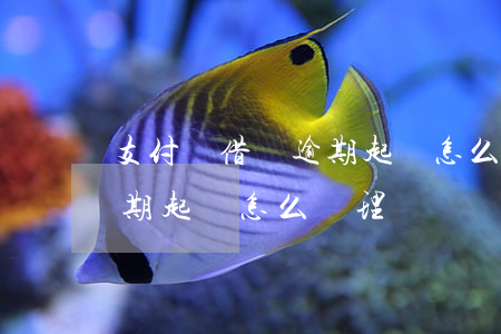 支付寶借唄逾期起訴怎么辦-支付寶借唄逾期起訴怎么辦理