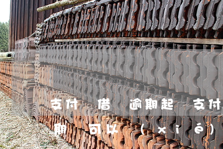 支付寶借唄逾期起訴(支付寶借唄逾期起訴了期間可以協(xié)商還款么)