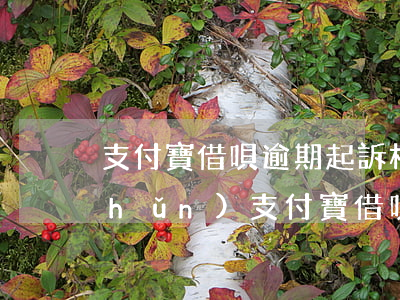 支付寶借唄逾期起訴標(biāo)準(zhǔn)(支付寶借唄逾期起訴標(biāo)準(zhǔn))
