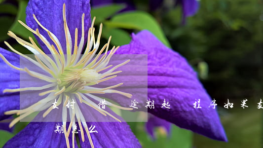 支付寶借唄逾期起訴程序(如果支付寶借唄逾期怎么辦?)