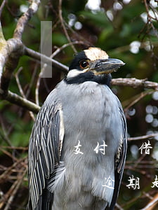 支付寶借唄逾期起訴讓我去簽字-支付寶借唄逾期起訴我說已經(jīng)上門