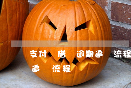 支付寶借唄逾期追繳流程-支付寶借唄逾期追繳流程圖