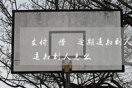 支付寶借唄逾期通知到人-支付寶借唄逾期通知到人怎么辦