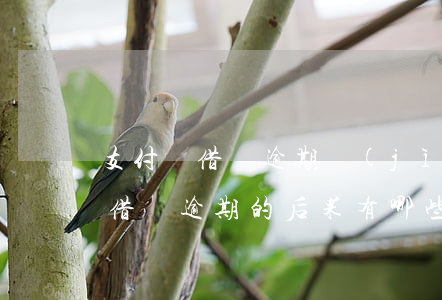 支付寶借唄逾期進(jìn)征信嗎(支付寶借唄逾期的后果有哪些?上征信嗎)