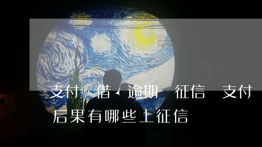 支付寶借唄逾期進征信嗎(支付寶借唄逾期的后果有哪些?上征信嗎)
