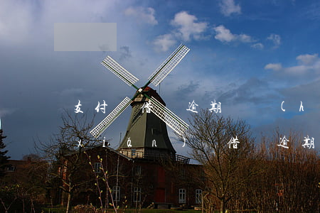 支付寶借唄逾期過會(huì)影響保險(xiǎn)嗎(借唄逾期會(huì)有啥影響)