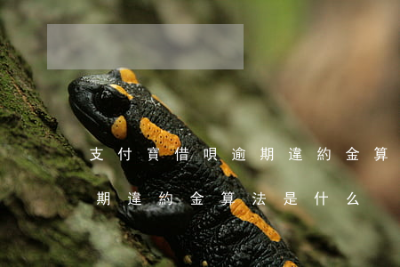 支付寶借唄逾期違約金算法-支付寶借唄逾期違約金算法是什么