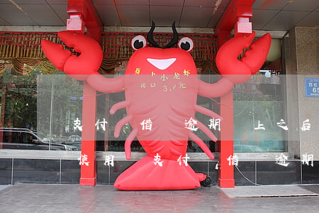 支付寶借唄逾期還上之后可以繼續(xù)使用嗎（支付寶借唄逾期還上）