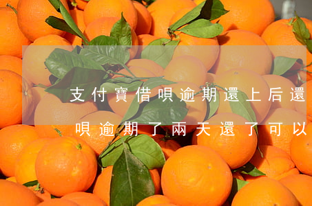 支付寶借唄逾期還上后還能用嗎-支付寶借唄逾期了兩天還了可以繼續(xù)使用嗎