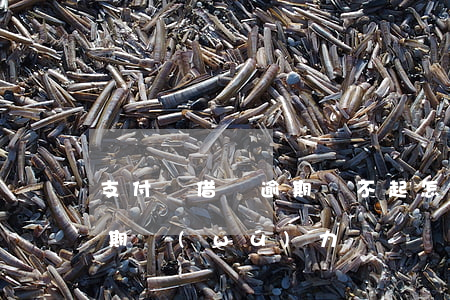 支付寶借唄逾期還不起怎么辦（支付寶借唄逾期無(wú)力償還）