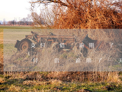 支付寶借唄逾期還了一次會怎樣-不注意支付寶借唄逾期了一天