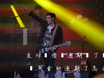 支付寶借唄逾期還了備用金(支付寶借唄花唄備用金都逾期了怎么辦)