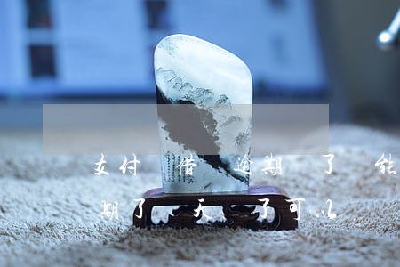 支付寶借唄逾期還了還能用嗎(支付寶借唄逾期了兩天還了可以繼續(xù)使用嗎)
