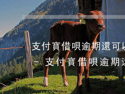支付寶借唄逾期還可以再開(kāi)通嗎-支付寶借唄逾期還可以再開(kāi)通嗎安全嗎